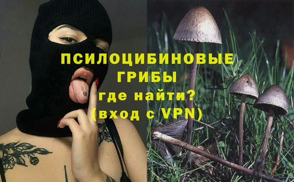 твердый Алексеевка