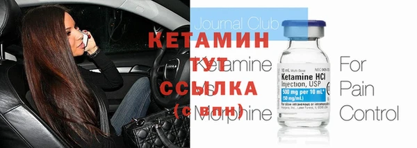 крисы Алексин