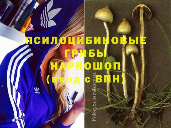 твердый Алексеевка