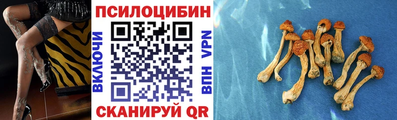 Галлюциногенные грибы Magic Shrooms Новосибирск