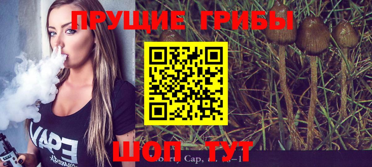 Псилоцибиновые грибы GOLDEN TEACHER  Вход с VPN  Новосибирск 