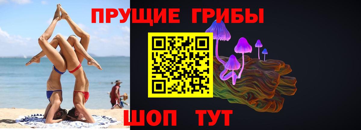 Галлюциногенные грибы Cubensis Новосибирск